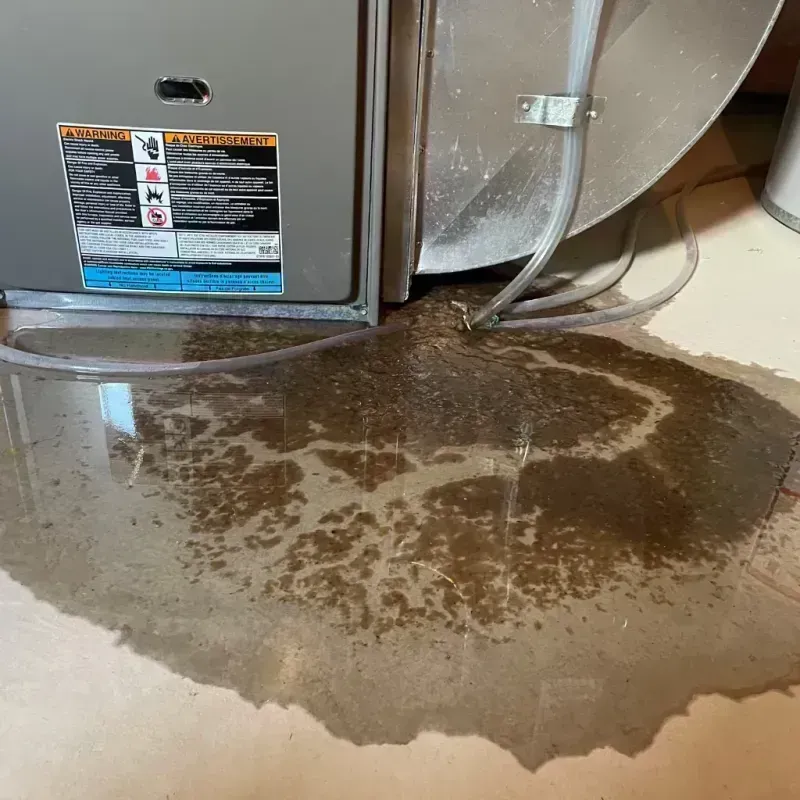 Appliance Leak Cleanup in Fredericktown, MO